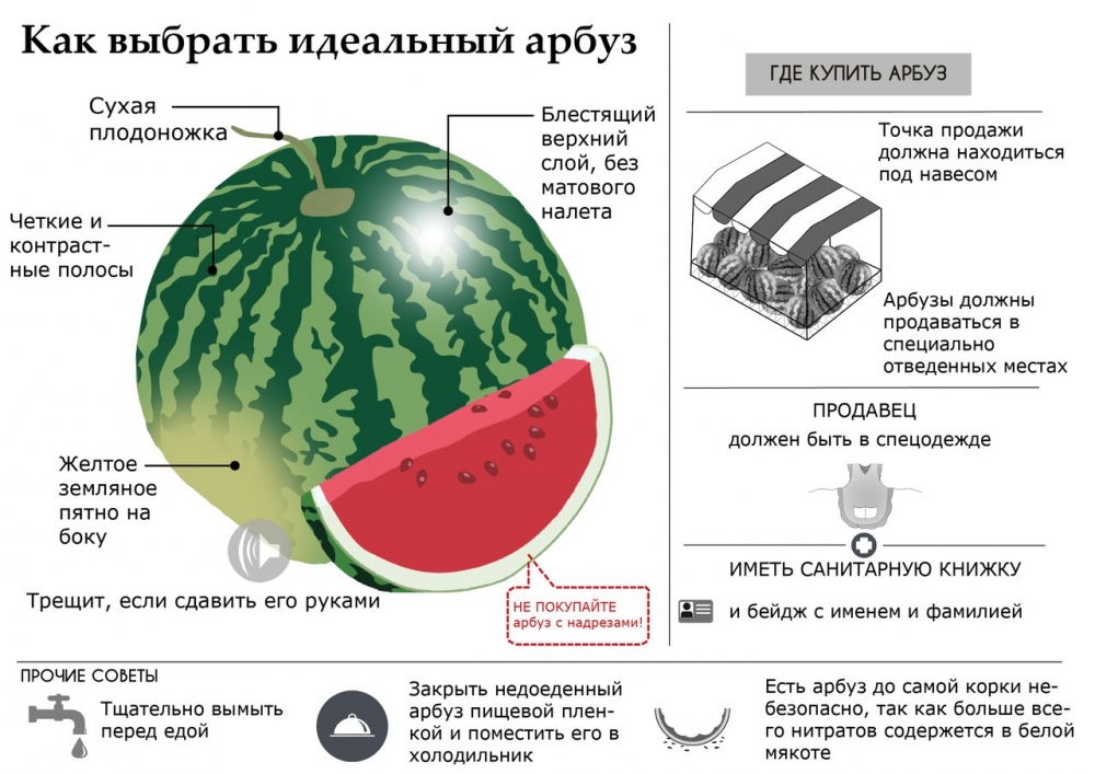 Петропавловка. Филиал ФБУЗ &quot;Центр гигиены и эпидемиологии в Воронежской области&quot; в Калачеевском, Воробьевском, Петропавловском районах информирует о Правилах продажи бахчевых культур..