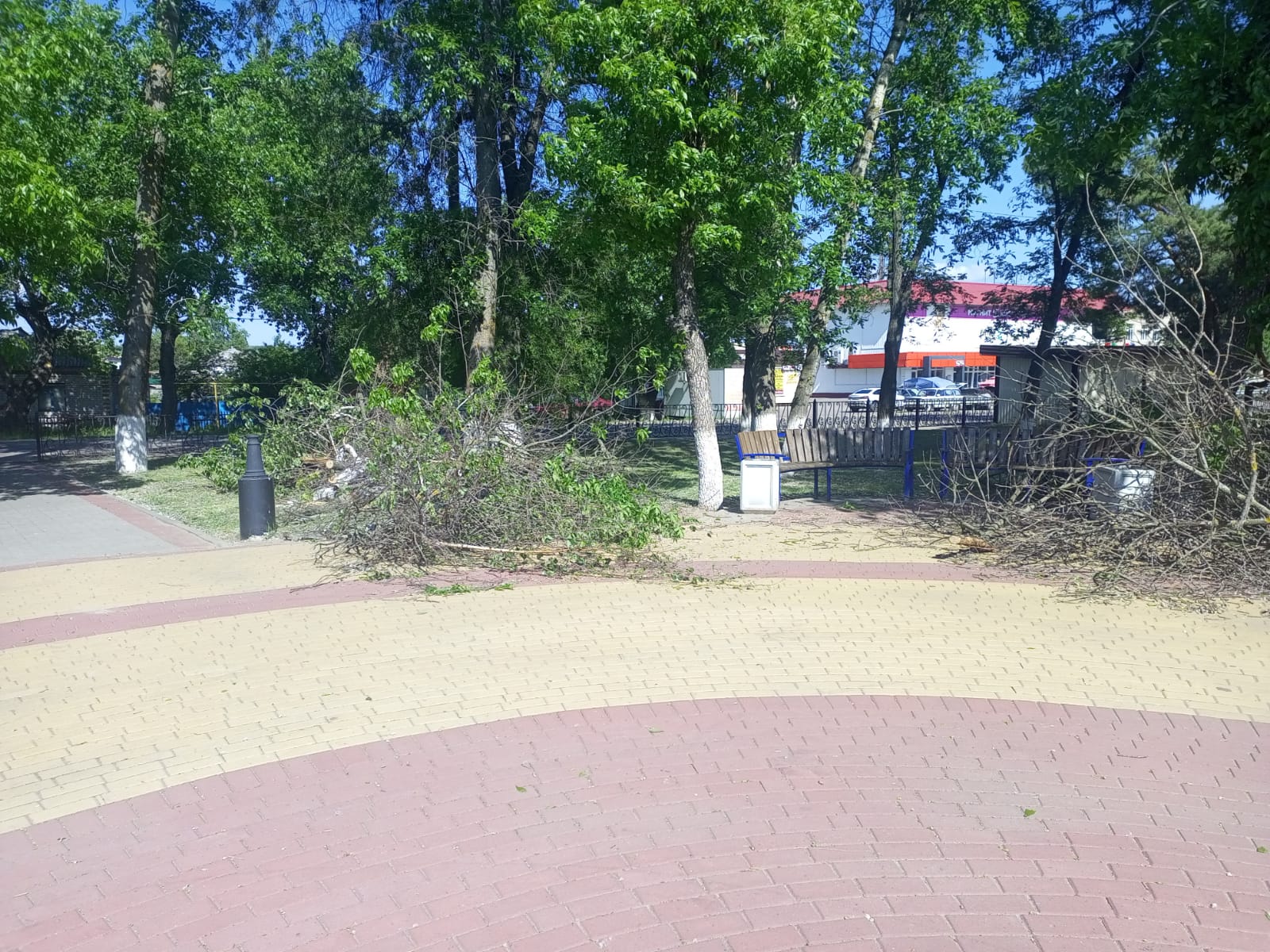 Петропавловка. Наводим порядок в сквере &quot;Центральный&quot;..