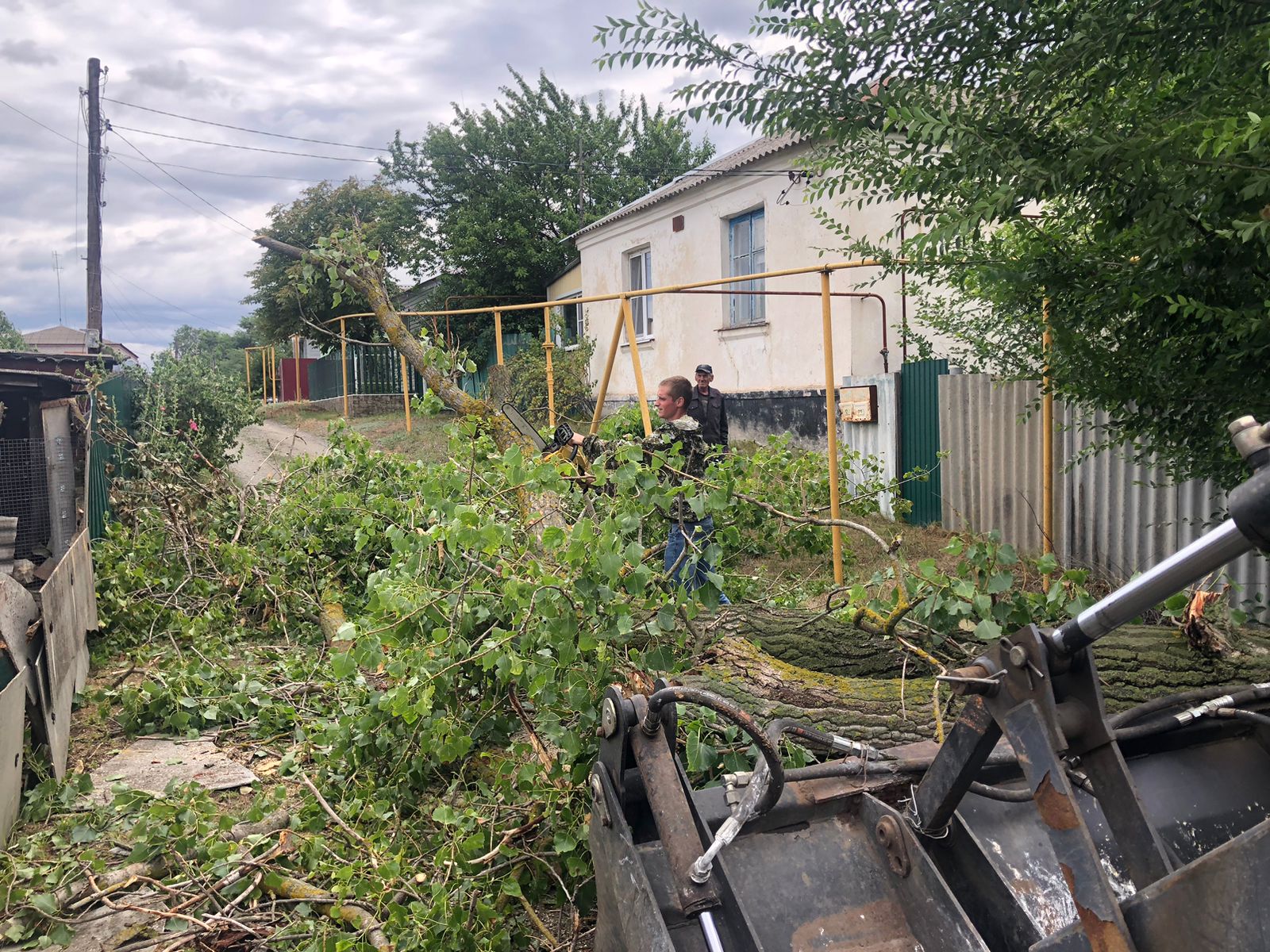 Петропавловка. Из-за сильного ветра упало дерево..