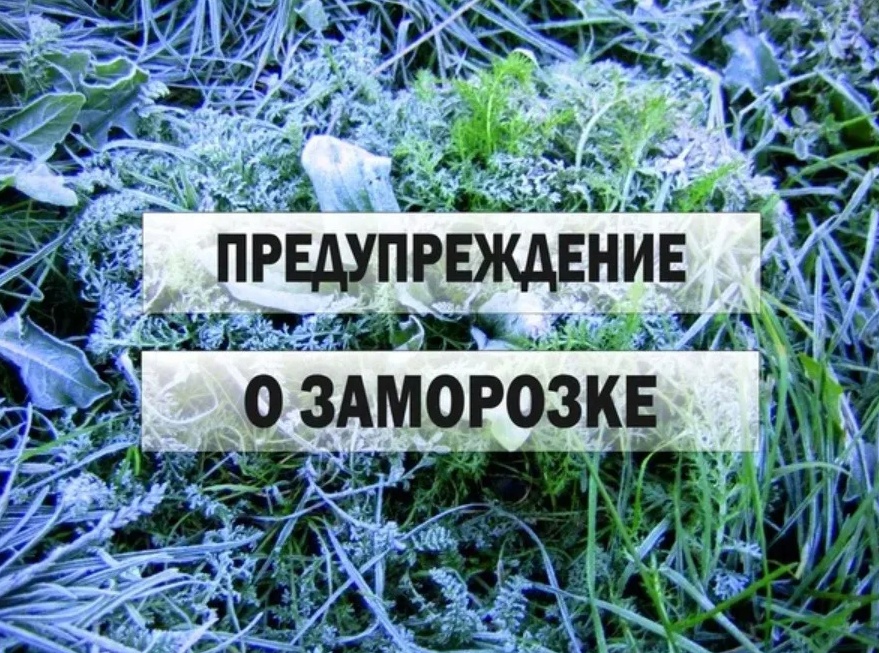 Петропавловка.Экстренное предупреждение о рисках возникновения ЧС, обусловленных действием опасных метеорологических явлений..