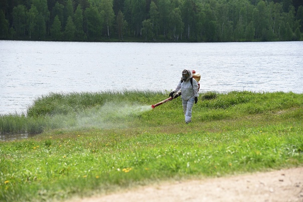 Петропавловка. 26.05.2025 г. провели дезинсекцию на пляже &quot;Песчаный&quot;..