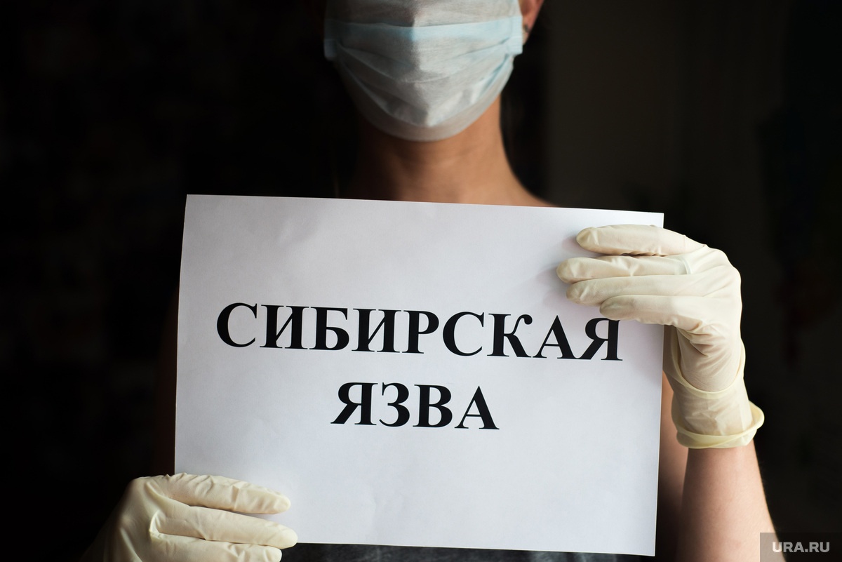 Петропавловка. В Воронежской области выявлено особо опасное заболевание – сибирская язва..