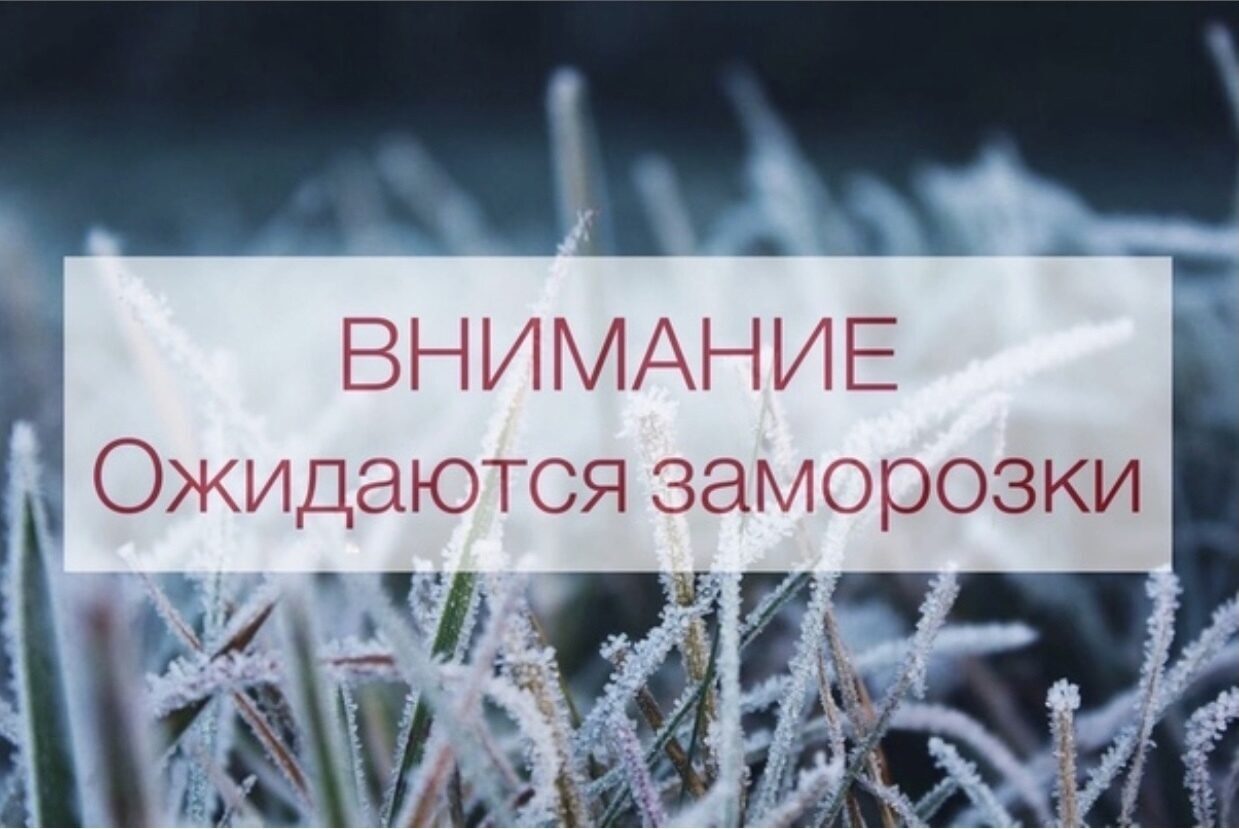 Петропавловка. Внимание! Ожидаются заморозки.