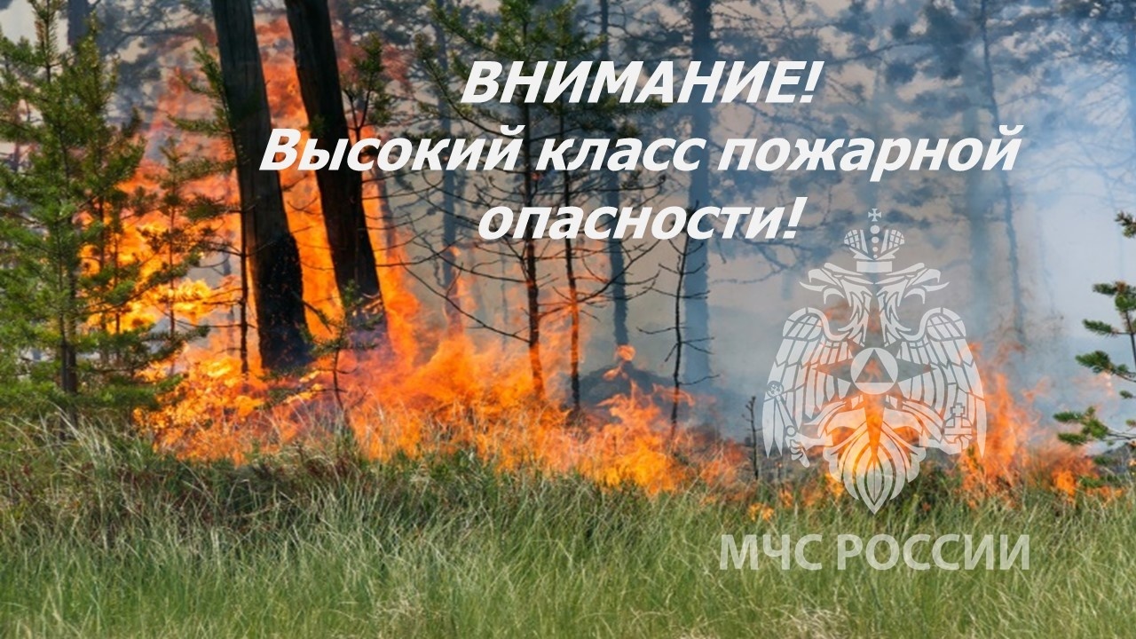 Петропавловка. С 3 июня на территории Воронежской области объявлен 5 класс пожарной опасности!.