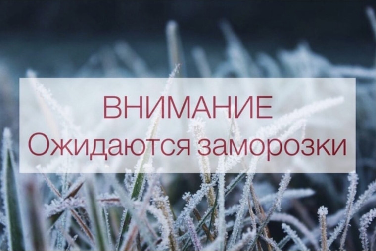Петропавловка. Внимание! Ожидаются заморозки. Петропавловка. Внимание! Ожидаются заморозки.