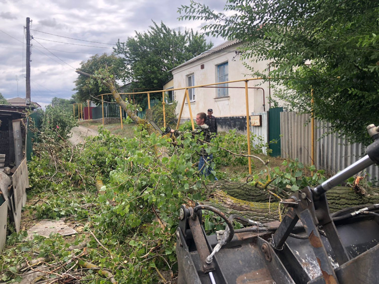 Петропавловка. Из-за сильного ветра упало дерево.. Петропавловка. Из-за сильного ветра упало дерево..