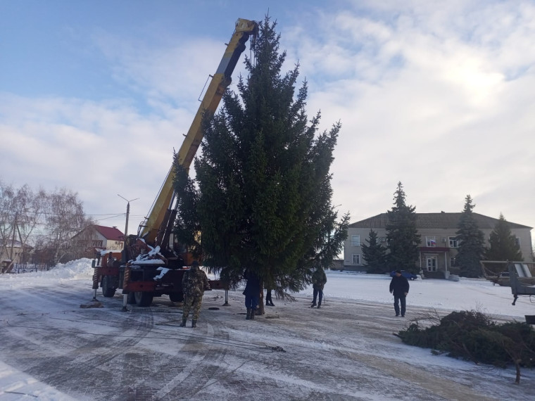 На площади с. Петропавловка установили Новогоднюю ель!!!. На площади с. Петропавловка установили Новогоднюю ель!!!.