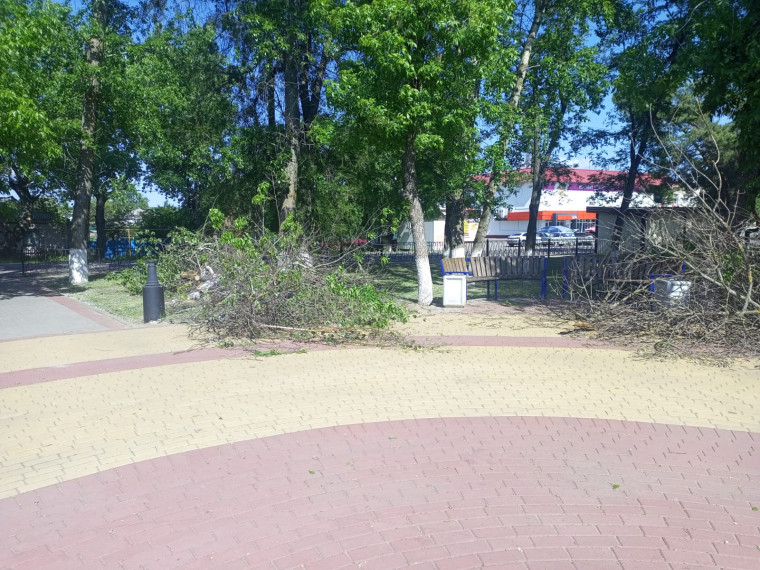 Петропавловка. Наводим порядок в сквере "Центральный".. Петропавловка. Наводим порядок в сквере "Центральный"..