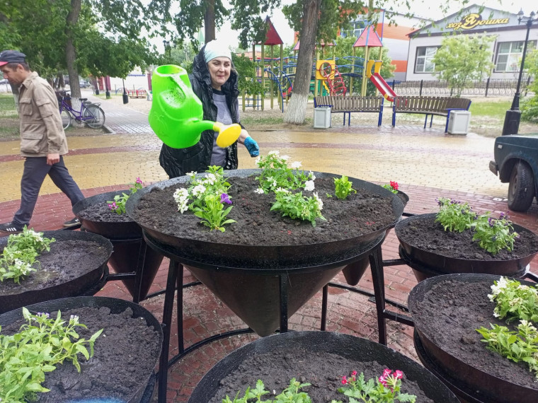 Петропавловка. Высадили цветы в вазоны в скверах в центре села.. Петропавловка. Высадили цветы в вазоны в скверах в центре села..